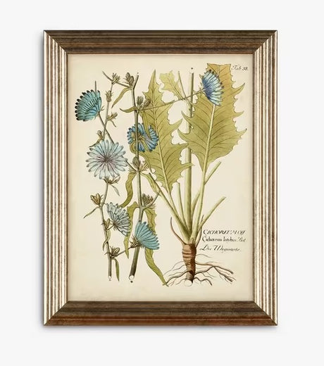 John Lewis Botanical Florals Framed Prints 47 x 37cm Set of 3 - Green/Gold