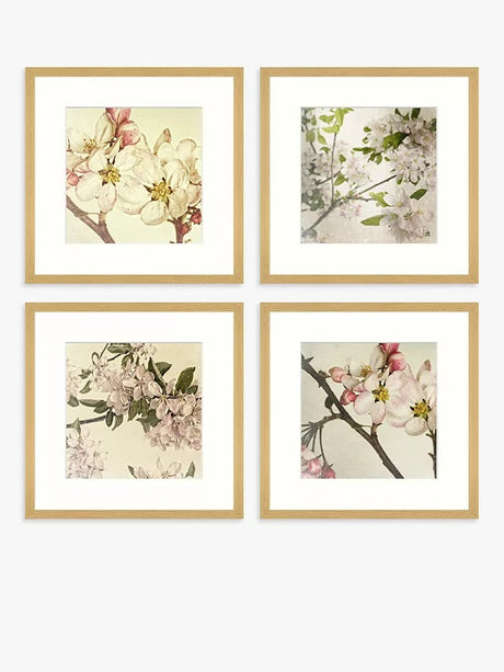 John Lewis Print Punk Studio - 'Vintage Blossom' Framed Print Set of 4 Multi - Kazoop 